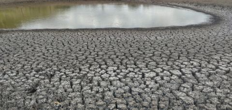 Estiagem assola o município de Ichú na Região do Sisal