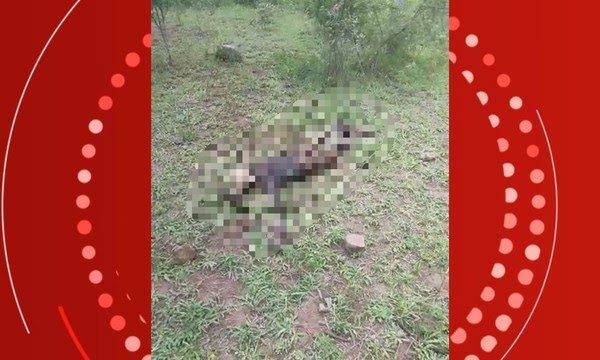 Departamento de Polícia Técnica recolhe ossada humana em Santa Bárbara 