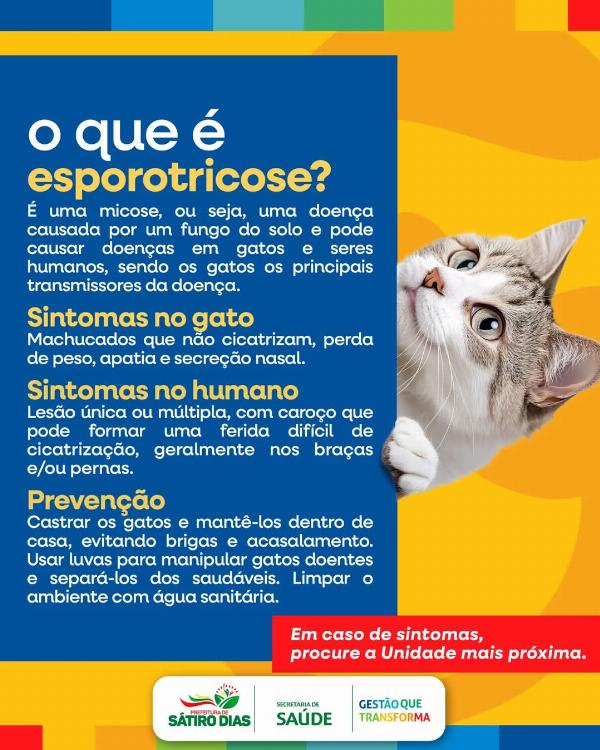 Prefeitura de Sátiro Dias realiza campanha de combate a Esporotricose 